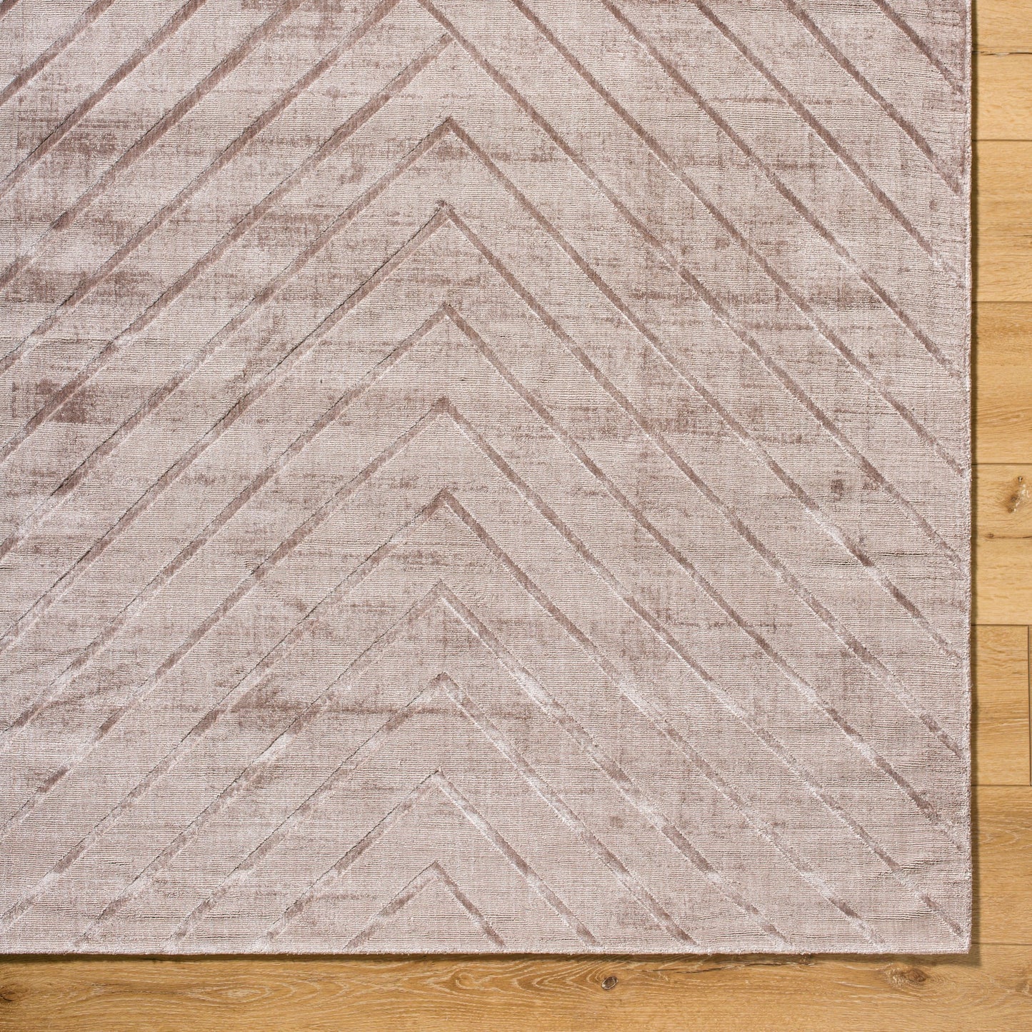 006 SI-2163274,SI-2163275,SI-2163276,SI-2163277,SI-2163278,SI-2163279 | Closeup | Pier Rug - 484768 by Surya in taupe, sandstone, beige. Made from viscose in a unique style.