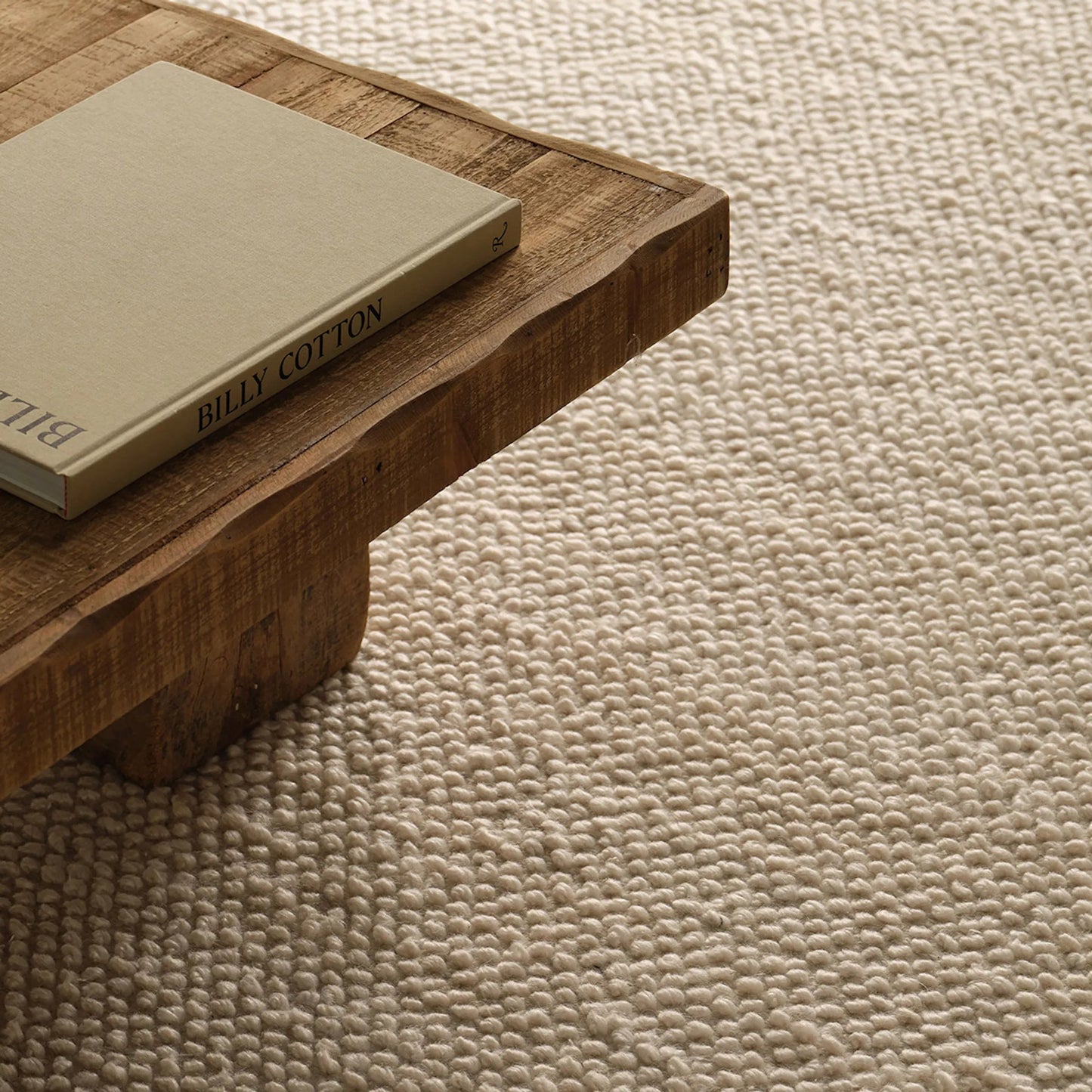 005 SI-2354869,SI-2354870,SI-2354871,SI-2354872,SI-2354873,SI-2386416 | Closeup | Rebecca RBC15 Indoor/Outdoor Rug by Jaipur Living in white. Made from 100% pet yarn in a unique style.