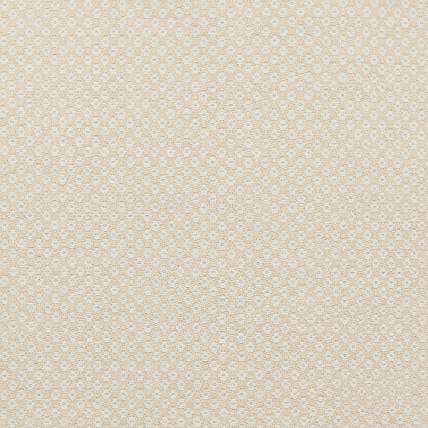 008 97661-13222,97661-13225 | Closeup | Ravena RVN-3000 Indoor/Outdoor Rug by Surya. Made from 100% wool in a unique style.