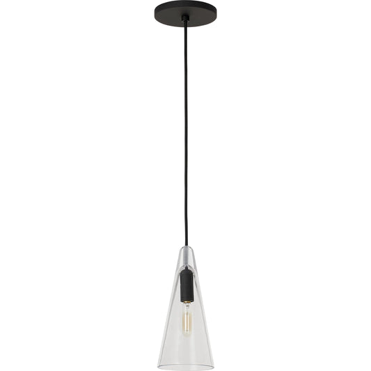 Selina Small Accent Pendant by Visual Comfort & Co. in clear glass. Made from unique in a transitional style.