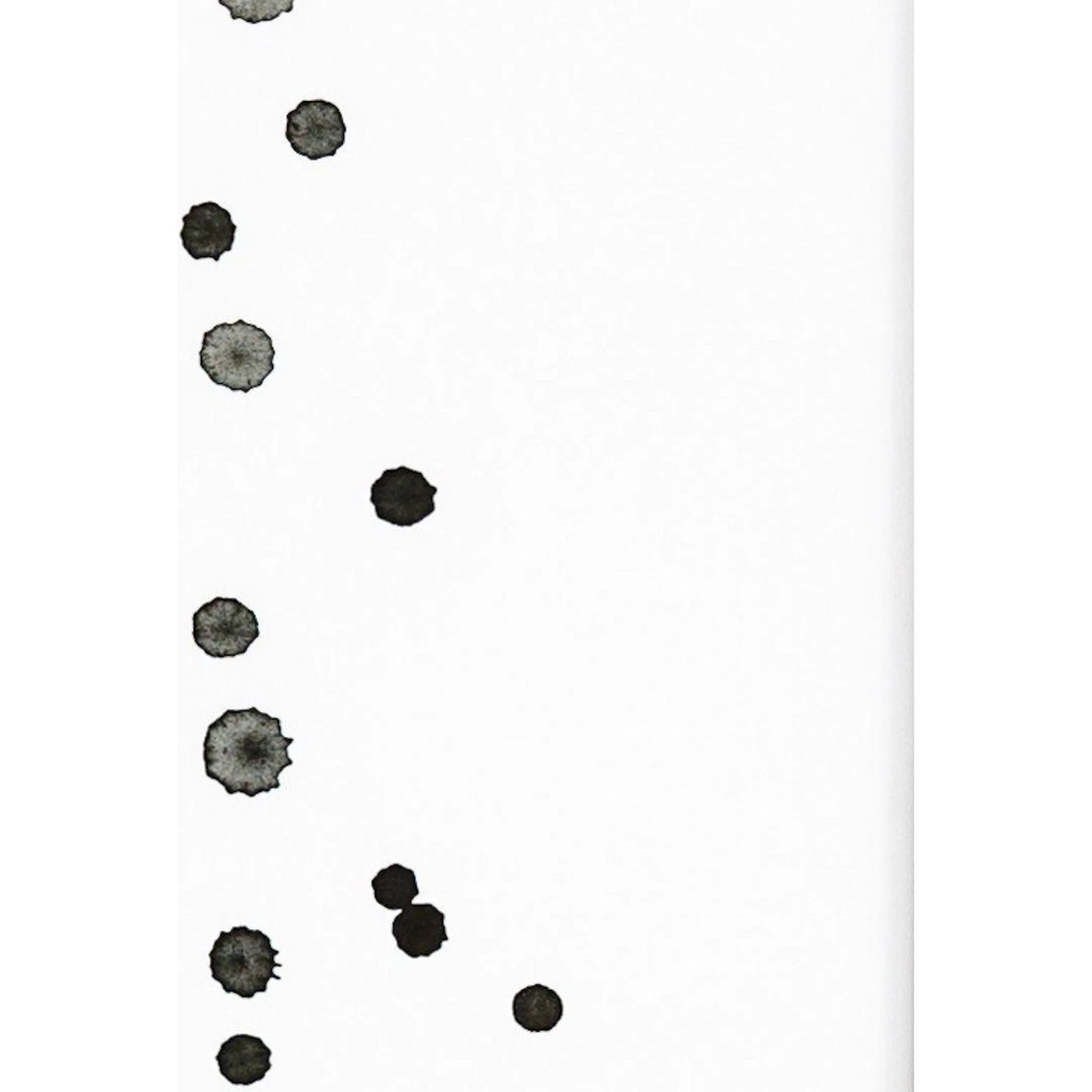 004 SI-2530751 | Closeup | Stars/Stripes Diptych by Jess Engle by Four Hands in black 2.5 maple, vibrance matte paper, 3a white foam board. Made from american maple, matte paper in a transitional style.