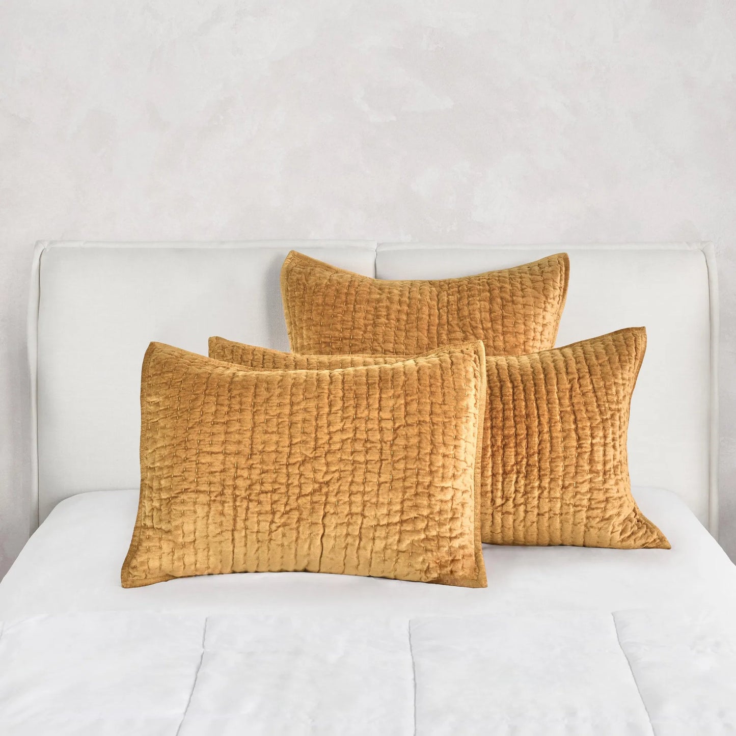 013 SI-2256402 | Lifestyle | Bari Velvet Honey Gold Sham by Villa by Classic Home in gold. Made from front: 100% rayon velvet, back: 100% solid cotton back in a eclectic & global style.