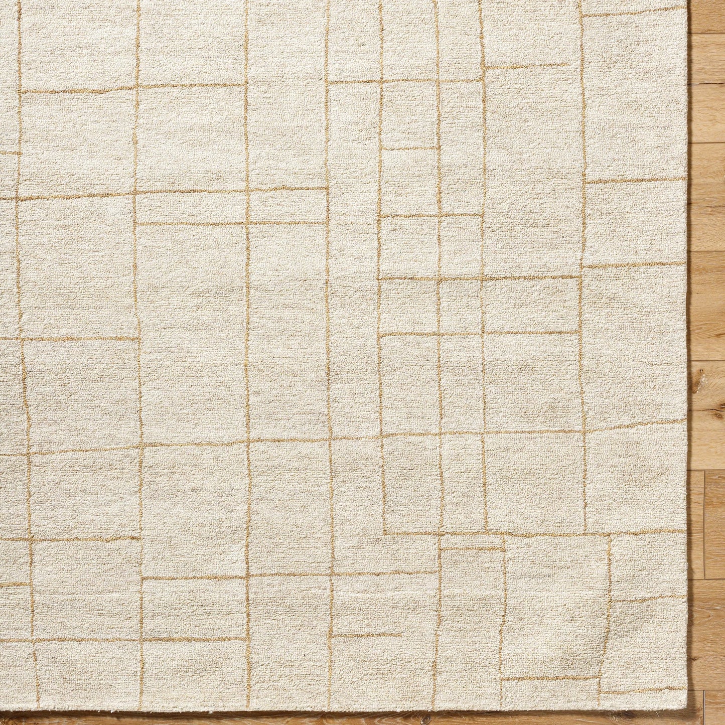 006 SI-2245849,SI-2245850,SI-2245851 | Closeup | Ira 541254 Rug by Vivir x Livabliss in ivory, sandstone, taupe. Made from wool in a unique style.