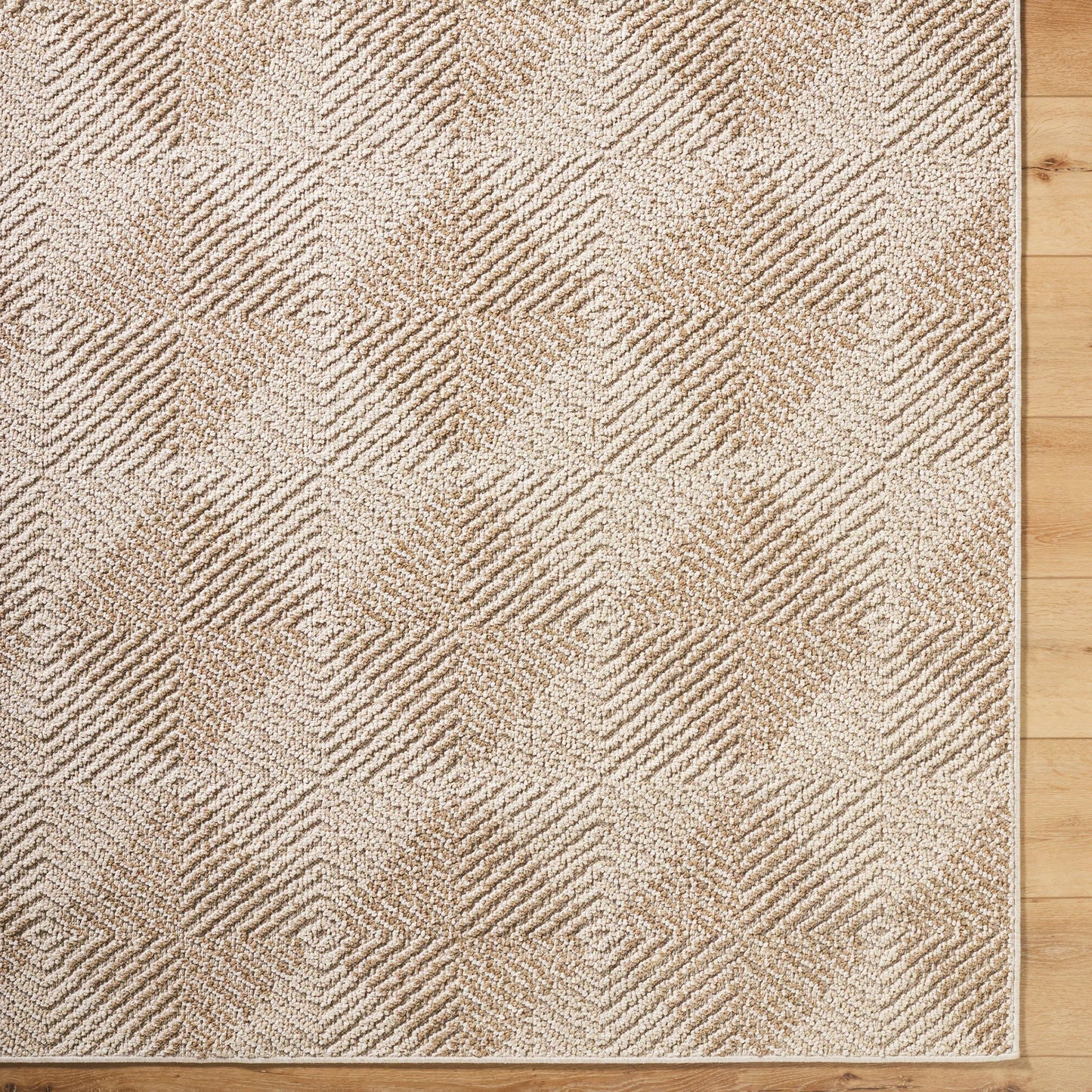 006 SI-2169324,SI-2169325,SI-2169326,SI-2169327 | Closeup | Kaya Rug - 541532 by Vivir x Livabliss in ash, khaki, prairie dust, desert sand, pearl, walnut. Made from polypropylene in a unique style.