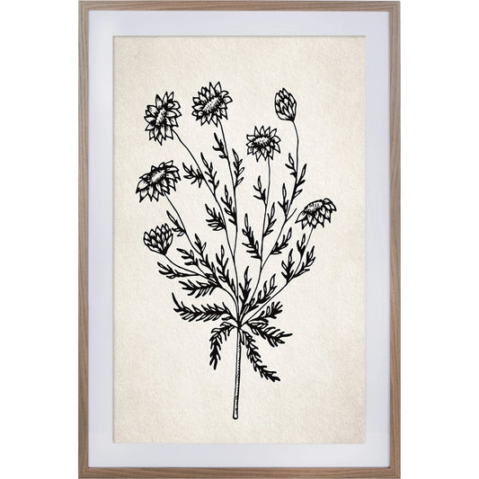 Shiawassee Cut Flora Wall Art by HedgeApple Essentials in ivory, black. Made from mdf, iron in a modern style.