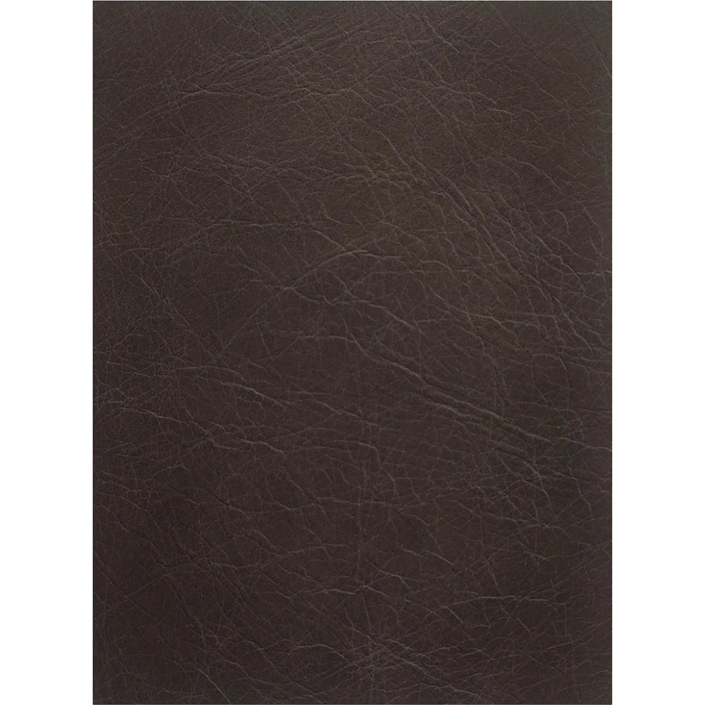 006 SI-2368382 | Closeup | Thurlow 3 Piece Modular Sectional by Moe's Home Collection in espresso. Made from upholstery: 100% top grain leather, high density foam, feather fill, solid red meranti wood frame, webbing seat in a traditional style.