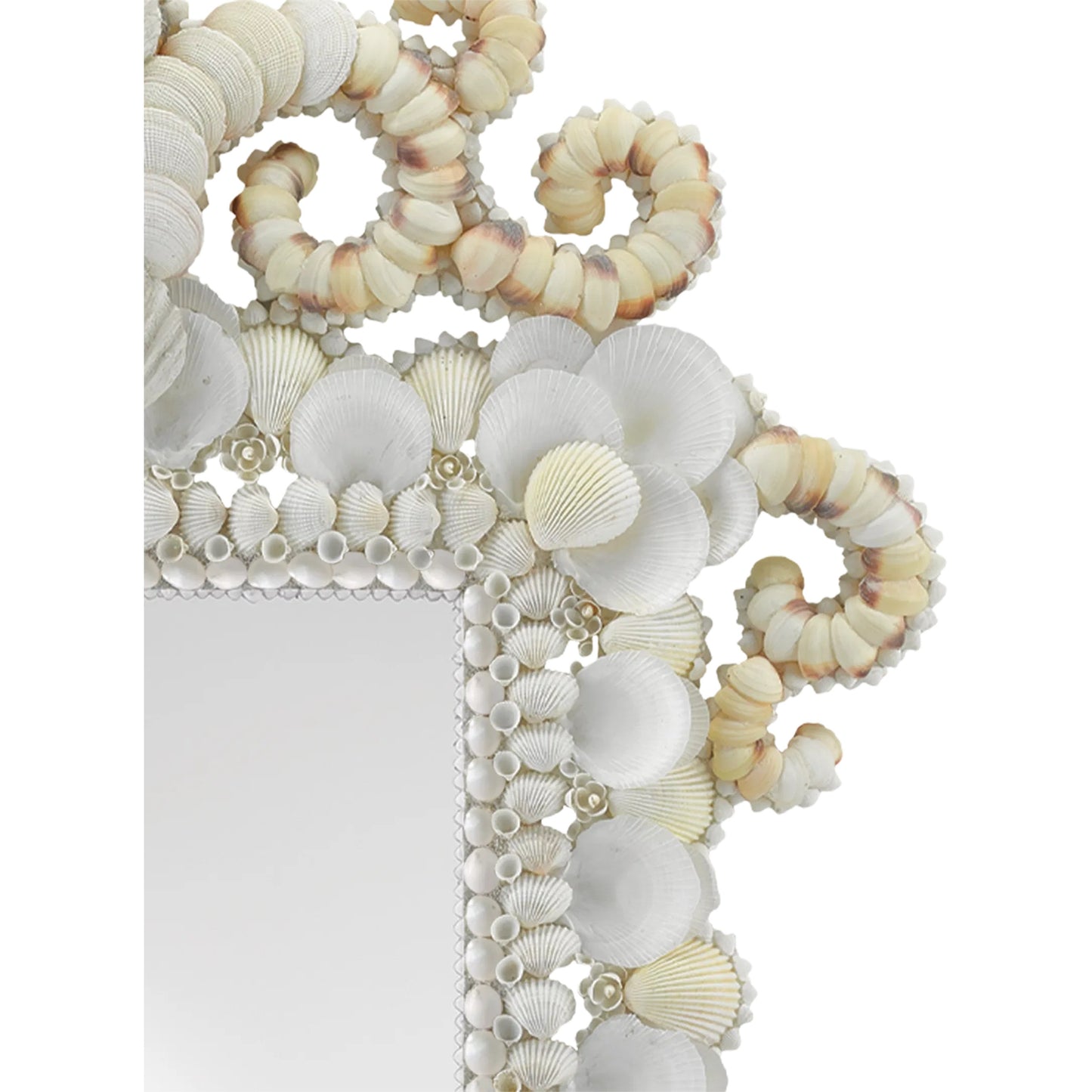 004 S-258099 | Closeup | Cecilia Mirror by Currey and Company in white, natural, mirror. Made from shells, wood, mirror in a coastal style.