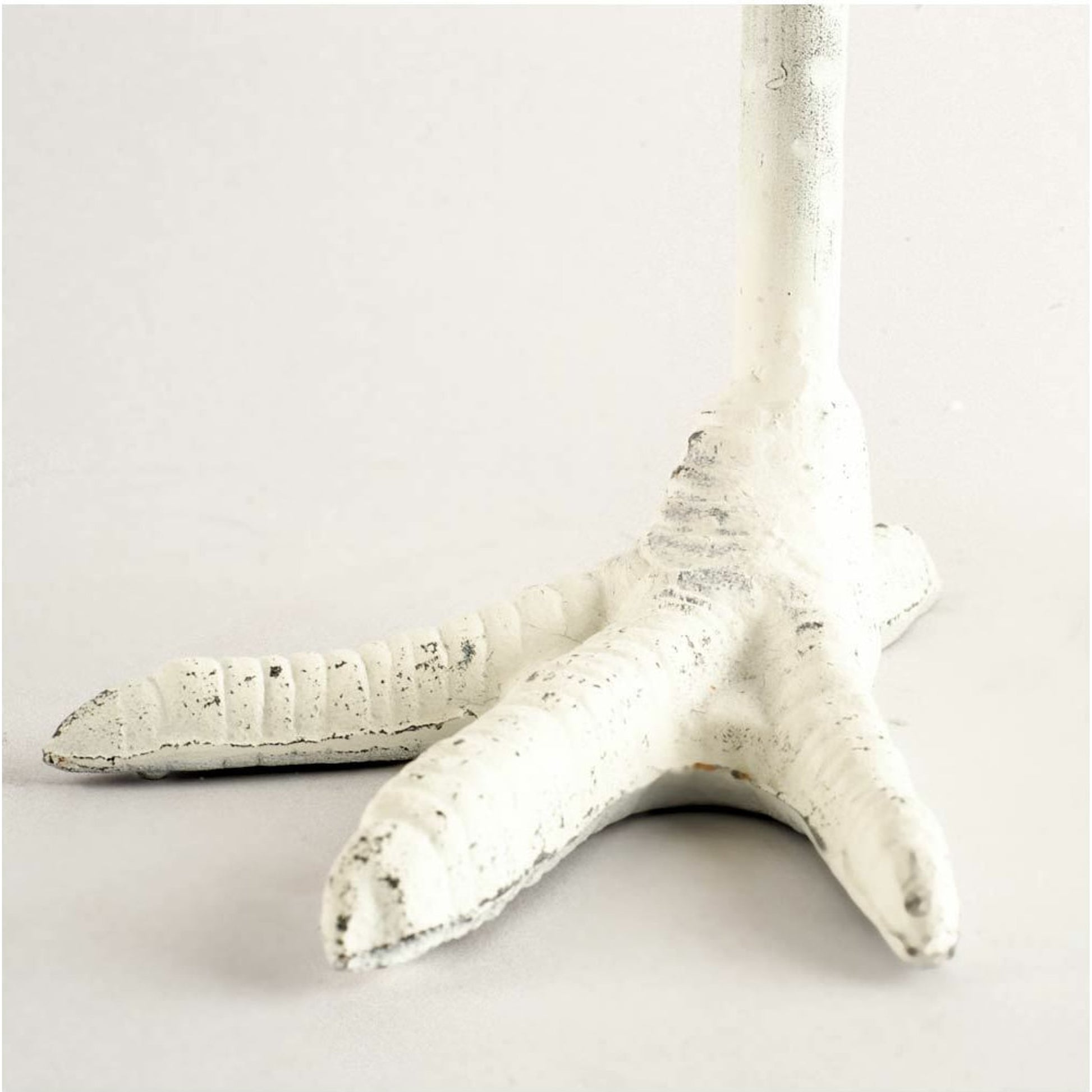 Daffy I Cast Iron Chicken Foot Table Candle Holder by Mercana in cast iron, white. Made from unique in a eclectic & global style.