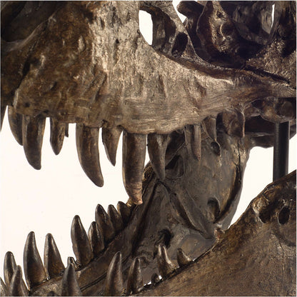 Jurassic Tyrannosaurus Skull Replica by Mercana in fossilized black. Made from unique in a eclectic & global style.