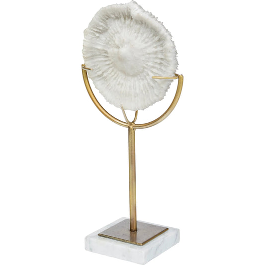 Sandy I Coastal Sand Dollar Object by Mercana in white. Made from unique in a coastal style.