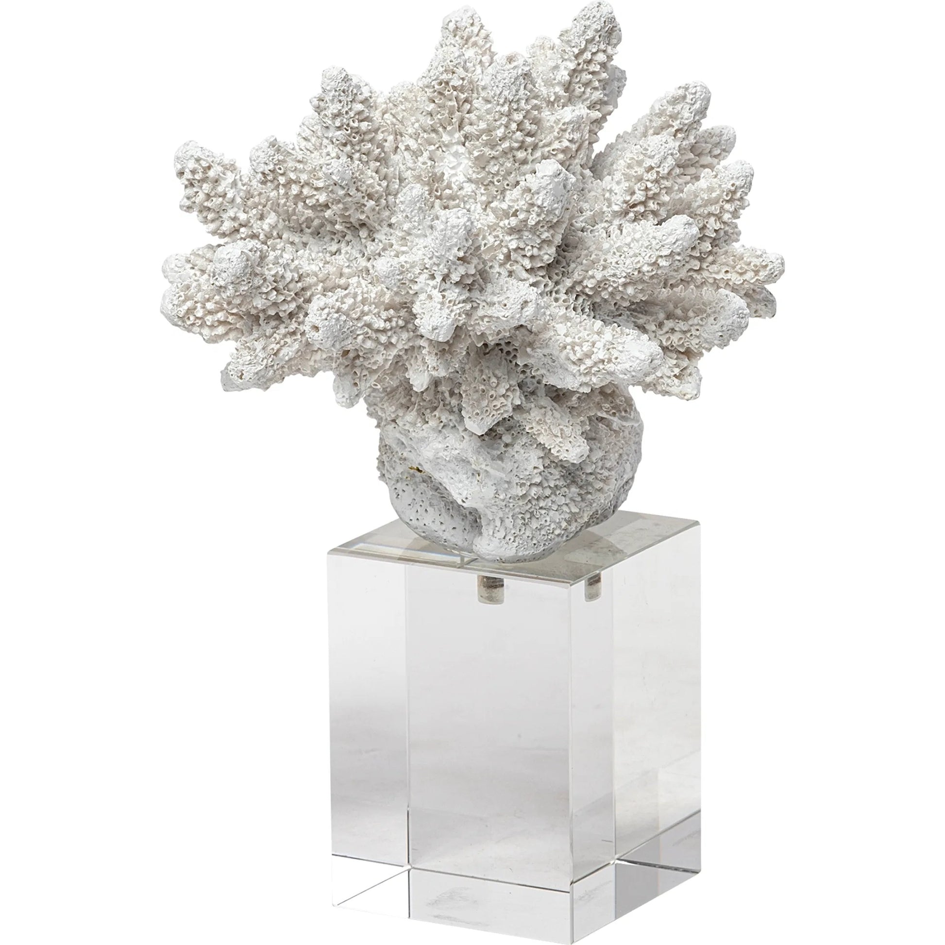 Isla Replica Coral on Clear Glass by Mercana in natural. Made from unique in a coastal style.