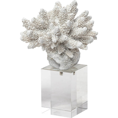 Isla Replica Coral on Clear Glass by Mercana in natural. Made from unique in a coastal style.