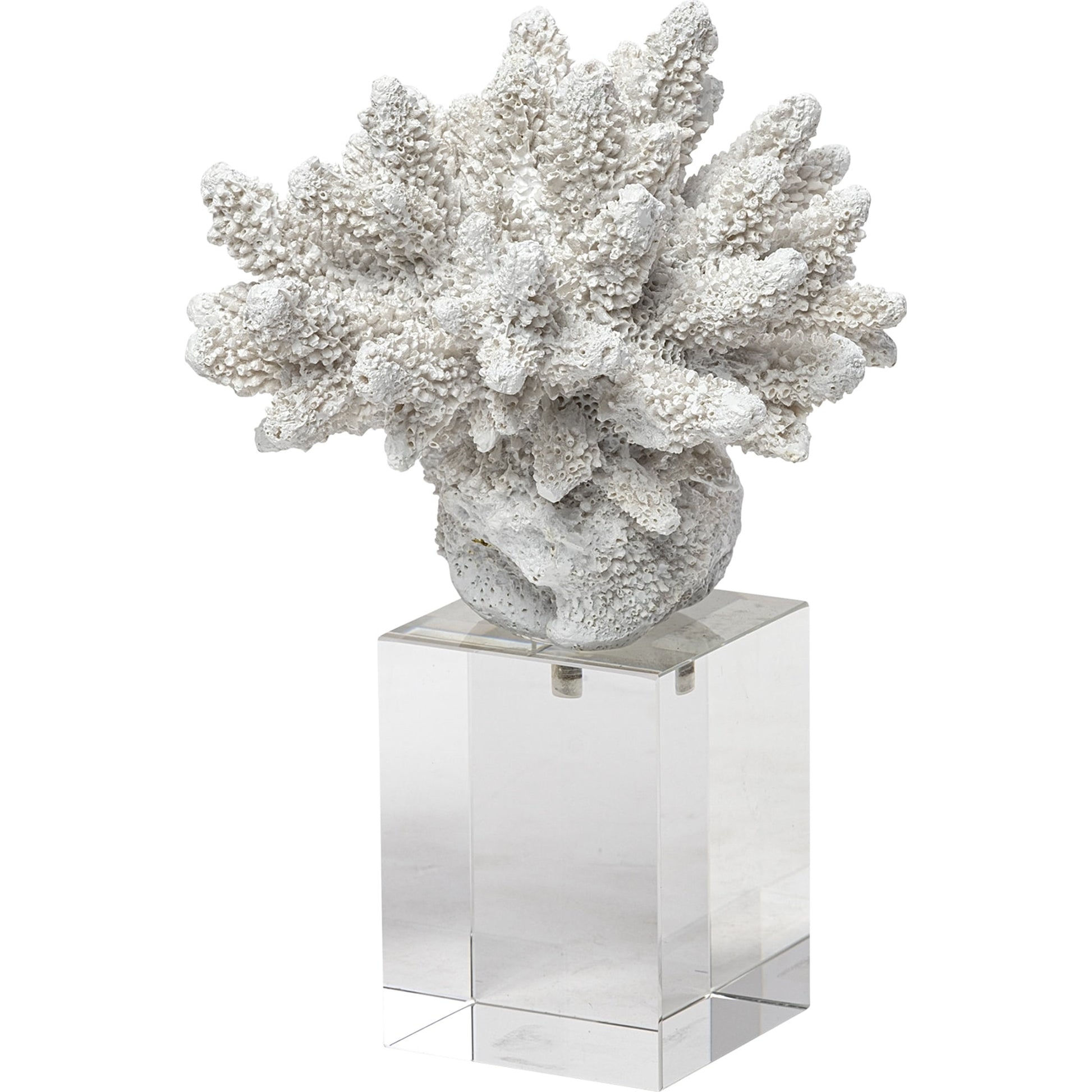 Isla Replica Coral on Clear Glass by Mercana in natural. Made from unique in a coastal style.