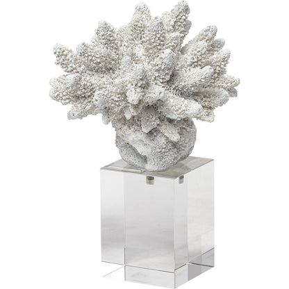 Isla Replica Coral on Clear Glass by Mercana in natural. Made from unique in a coastal style.