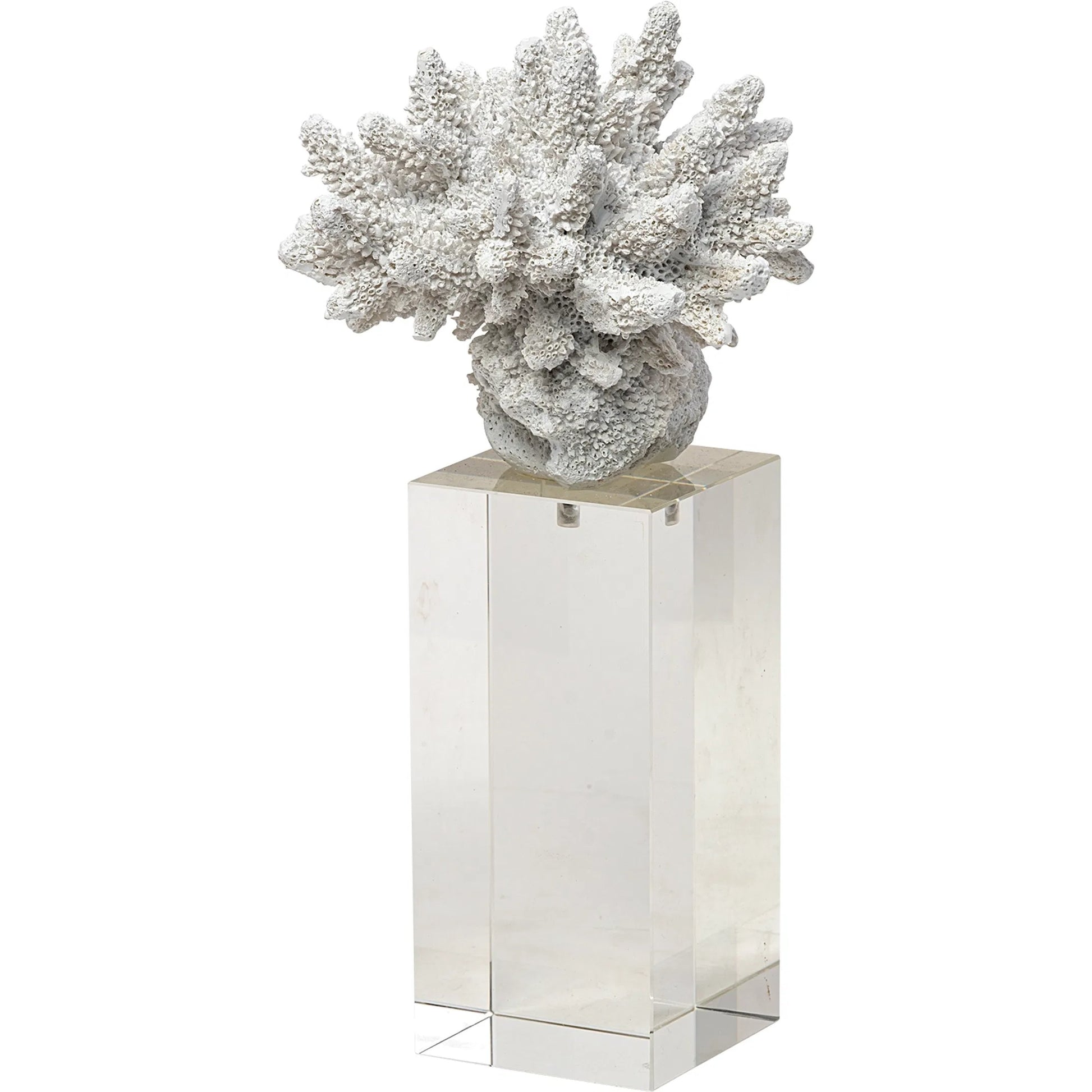 Isla Replica Coral on Clear Glass by Mercana in natural. Made from unique in a coastal style.
