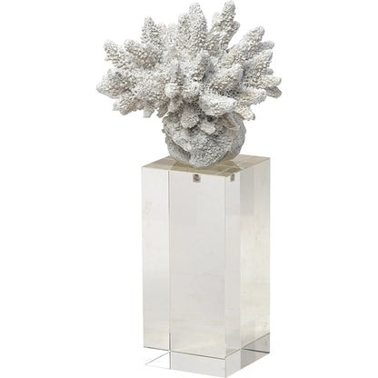 Isla Replica Coral on Clear Glass by Mercana in natural. Made from unique in a coastal style.