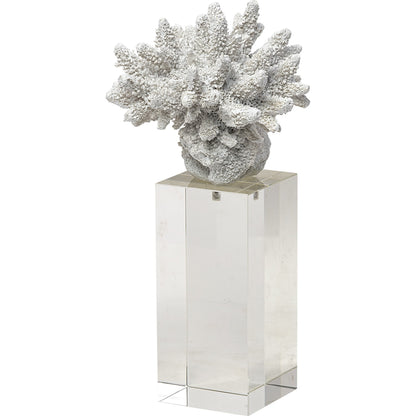 Isla Replica Coral on Clear Glass by Mercana in natural. Made from unique in a coastal style.