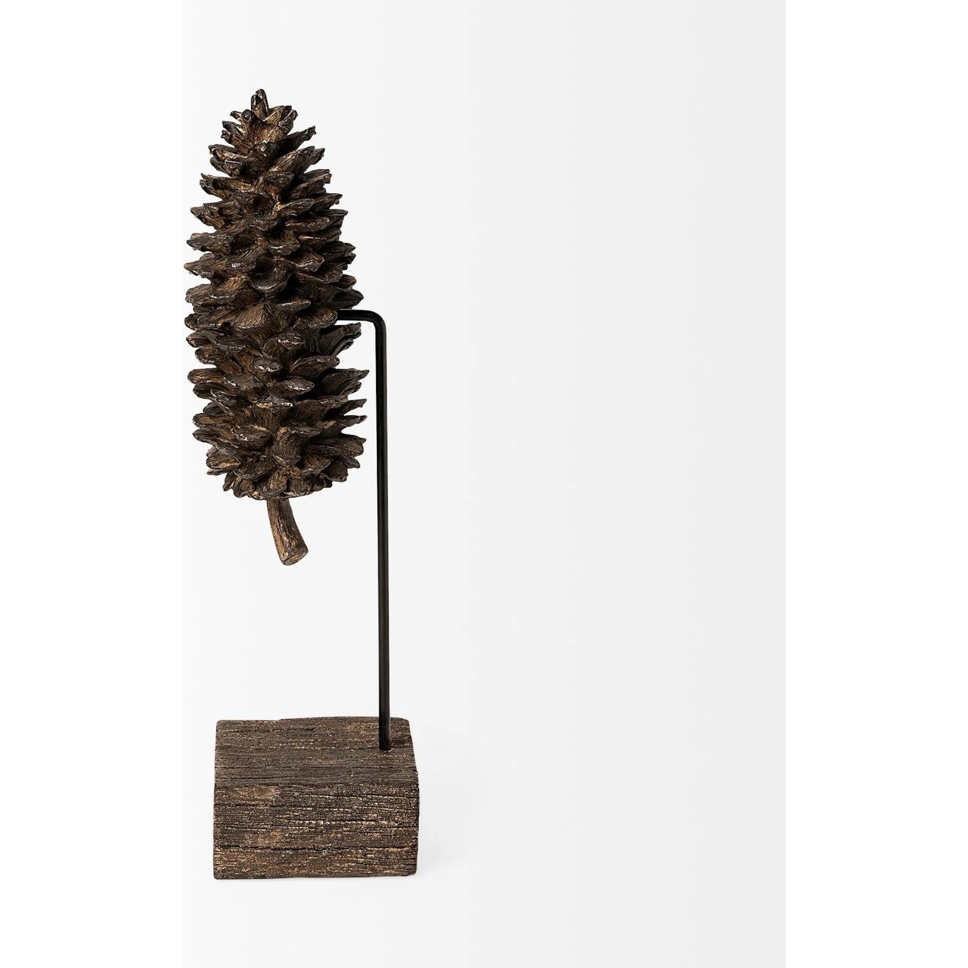 Pinterra Resin Pinecone Replica by Mercana in natural. Made from unique in a rustic style.