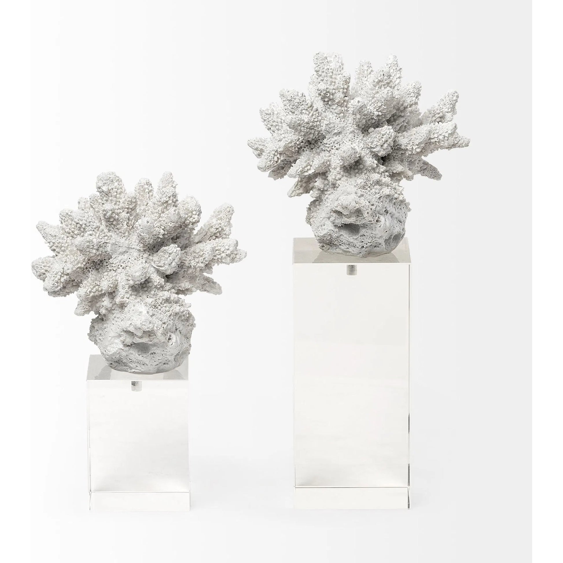 Isla Replica Coral on Clear Glass by Mercana in natural. Made from unique in a coastal style.