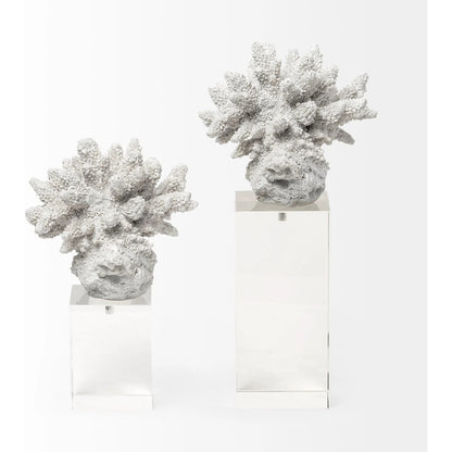 Isla Replica Coral on Clear Glass by Mercana in natural. Made from unique in a coastal style.