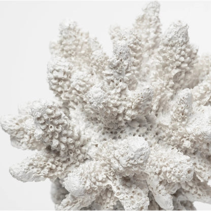 Isla Replica Coral on Clear Glass by Mercana in natural. Made from unique in a coastal style.