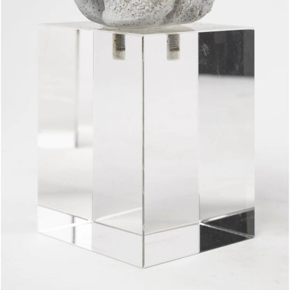 Isla Replica Coral on Clear Glass by Mercana in natural. Made from unique in a coastal style.