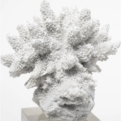 Isla Replica Coral on Clear Glass by Mercana in natural. Made from unique in a coastal style.