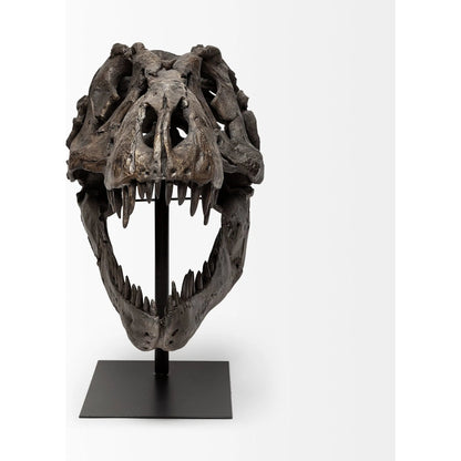 Lagrane Tyrannosaurus T Rex Dinosaur Skull Replica by Mercana in black. Made from unique in a modern style.