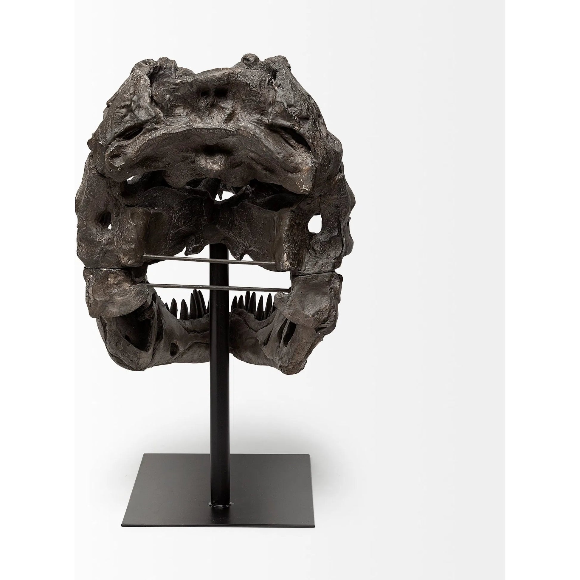 Lagrane Tyrannosaurus T Rex Dinosaur Skull Replica by Mercana in black. Made from unique in a modern style.