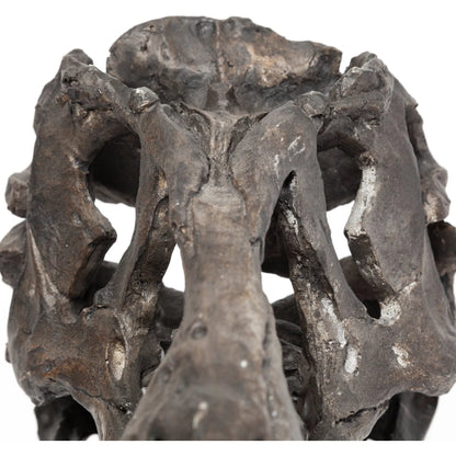 Jurassic Tyrannosaurus Skull Replica by Mercana in fossilized black. Made from unique in a eclectic & global style.