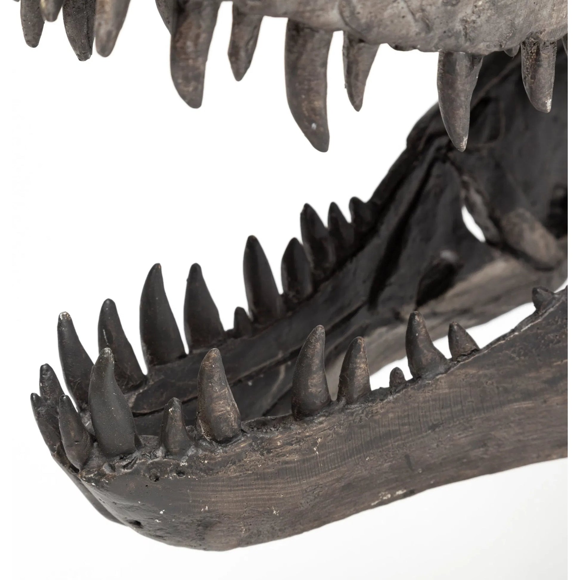 Jurassic Tyrannosaurus Skull Replica by Mercana in fossilized black. Made from unique in a eclectic & global style.