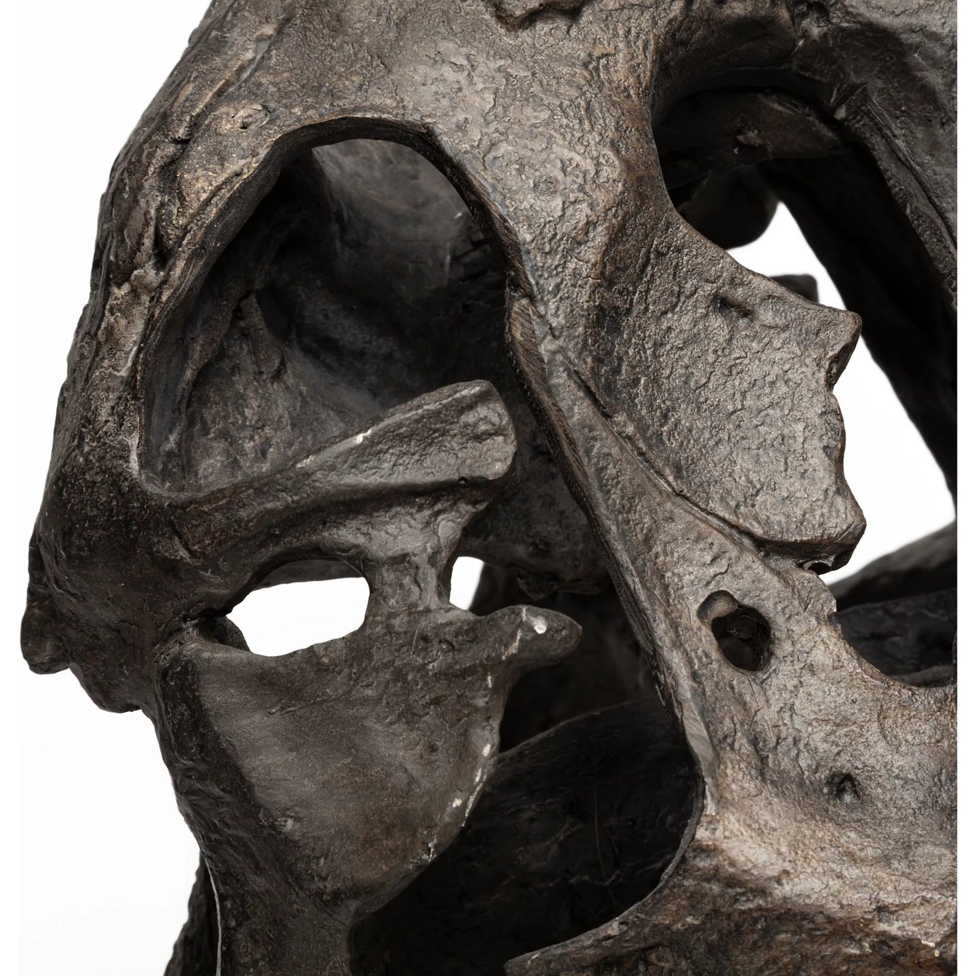 Lagrane Tyrannosaurus T Rex Dinosaur Skull Replica by Mercana in black. Made from unique in a modern style.