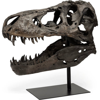 Lagrane Tyrannosaurus T Rex Dinosaur Skull Replica by Mercana in black. Made from unique in a modern style.
