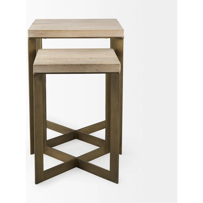 Faye End/Side Table by Mercana. Made from metal, wood in a transitional style.