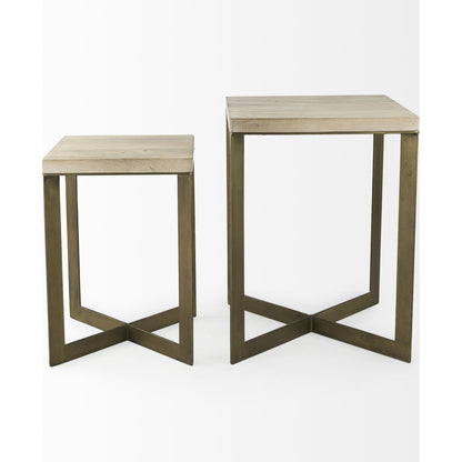 Faye End/Side Table by Mercana. Made from metal, wood in a transitional style.