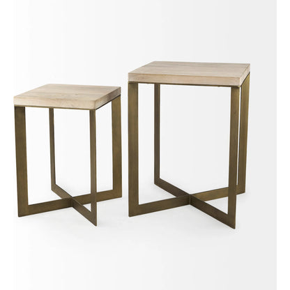 Faye End/Side Table by Mercana. Made from metal, wood in a transitional style.