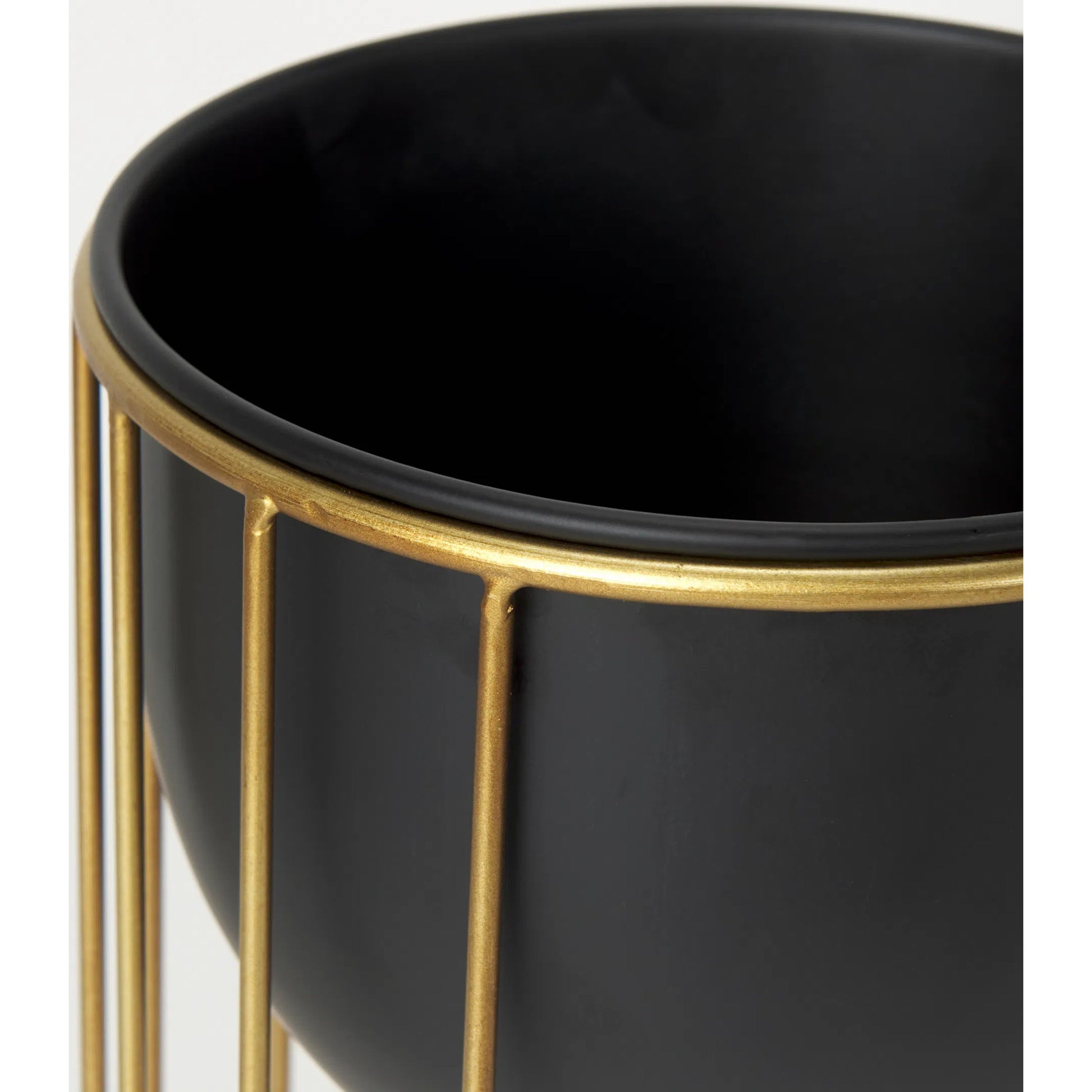 Danica Plant Stands by Mercana in black. Made from metal in a unique style.