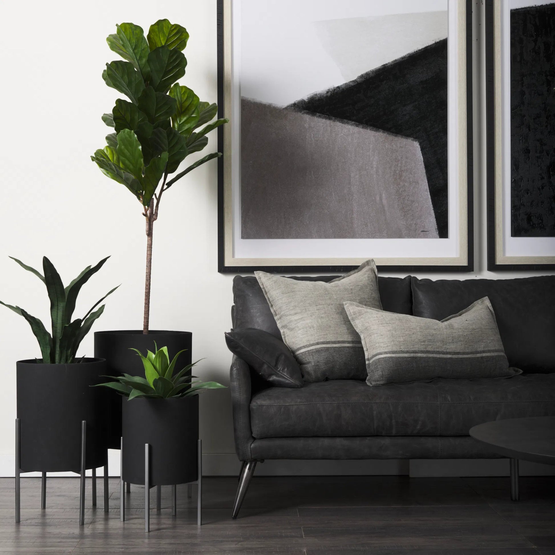 Claypoole Plant Stands Set of Three by Mercana in black. Made from unique in a modern style.