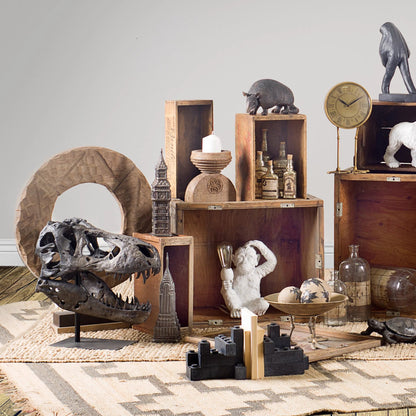 Lagrane Tyrannosaurus T Rex Dinosaur Skull Replica by Mercana in black. Made from unique in a modern style.