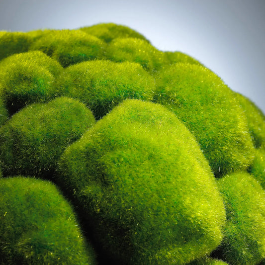 Moss Sphere by Cyan Design in moss green. Made from poly foam in a cottage & farmhouse style.