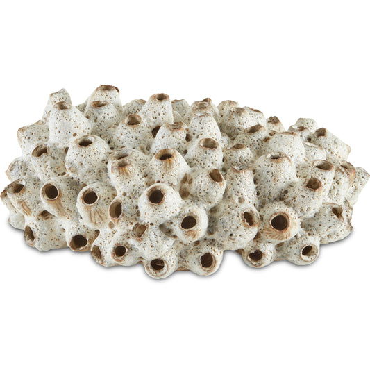 Sulawasi Shells by Currey and Company in antique white. Made from ceramic in a coastal style.