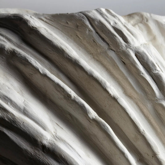 Shelly Wall Sconce by Cyan Design in white. Made from plaster in a coastal style.