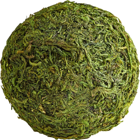 Bermuda Filler by Cyan Design in green moss. Made from polyester in a cottage & farmhouse style.