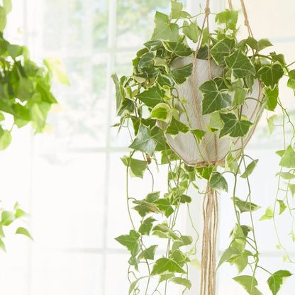 Selena Vase by Cyan Design in natural stone. Made from ceramic in a modern style.