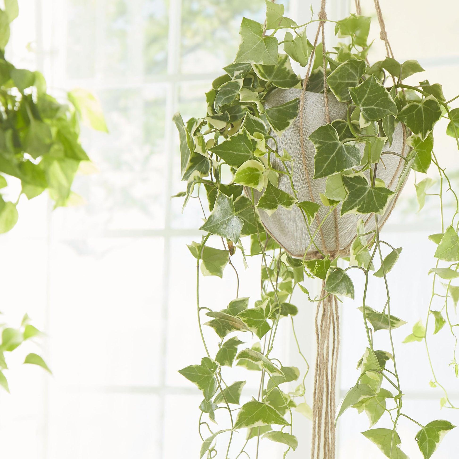 Selena Vase by Cyan Design in natural stone. Made from ceramic in a modern style.