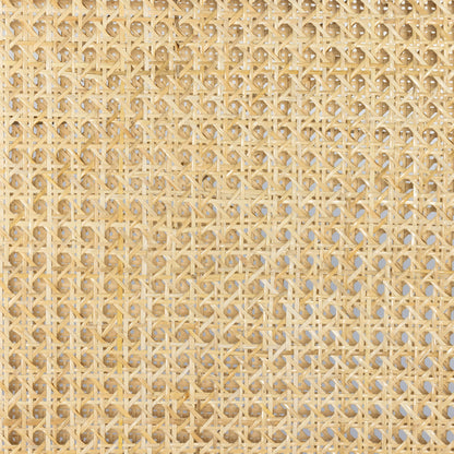 Antonia Cane Armless Dining Chair by Four Hands in toasted nettlewood. Made from unique in a transitional style.