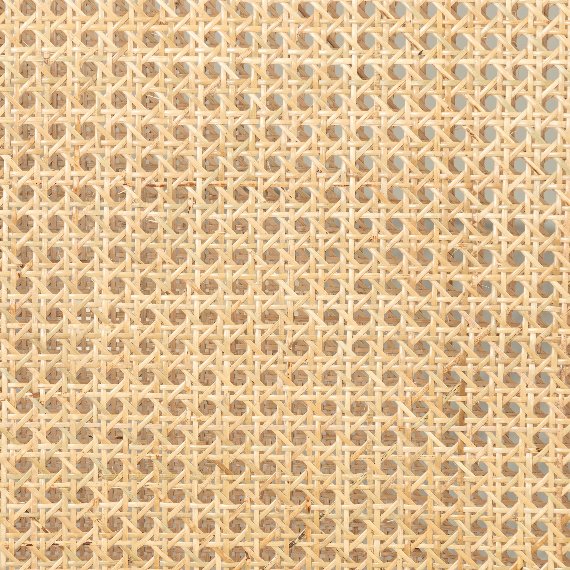 Antonia Cane Armless Dining Chair by Four Hands in toasted nettlewood. Made from unique in a transitional style.
