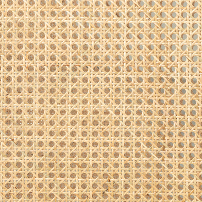 Antonia Cane Armless Dining Chair by Four Hands in toasted nettlewood. Made from unique in a transitional style.