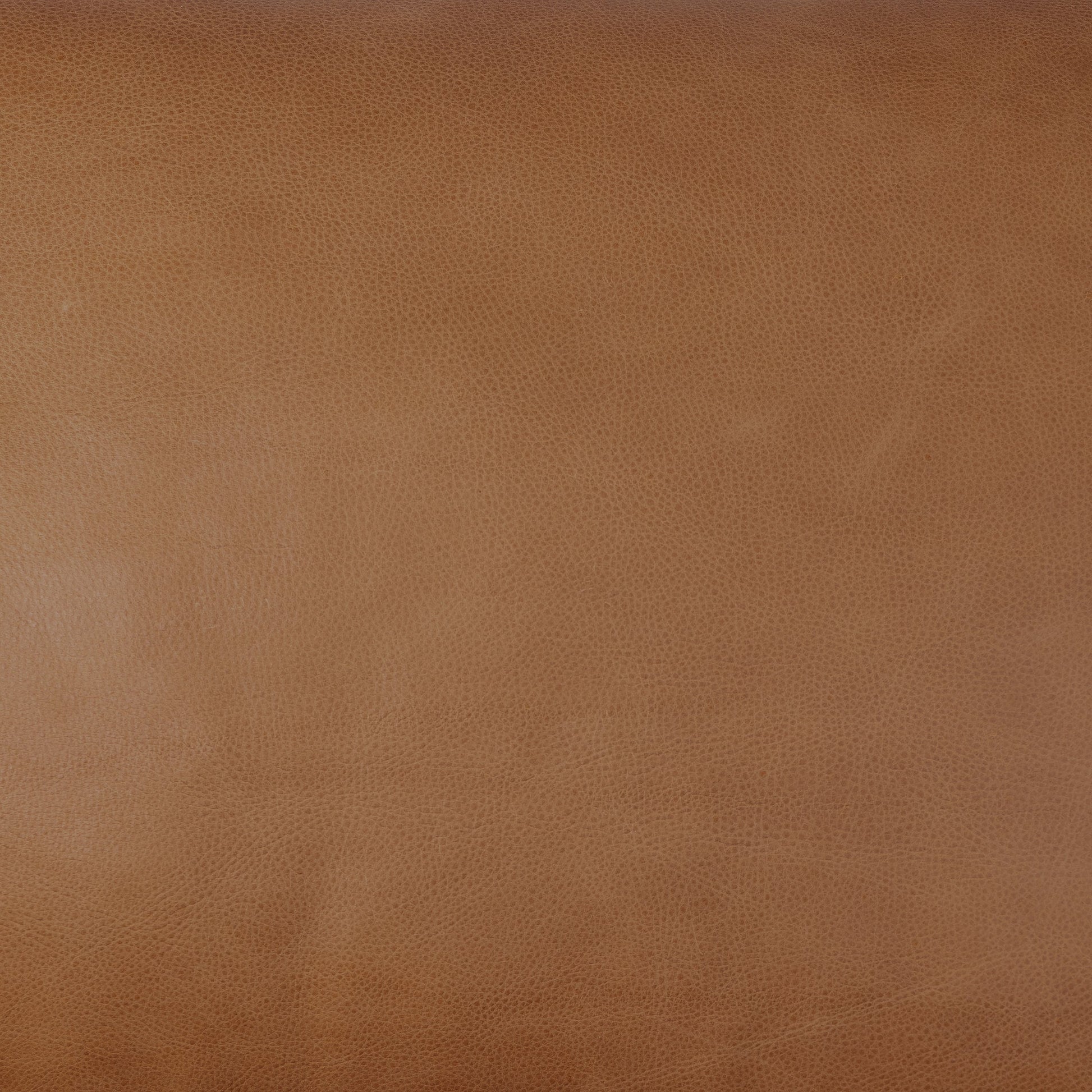 Reese Sofa by Four Hands. Made from top grain leather, solid beech, 100% polyester in a modern style.