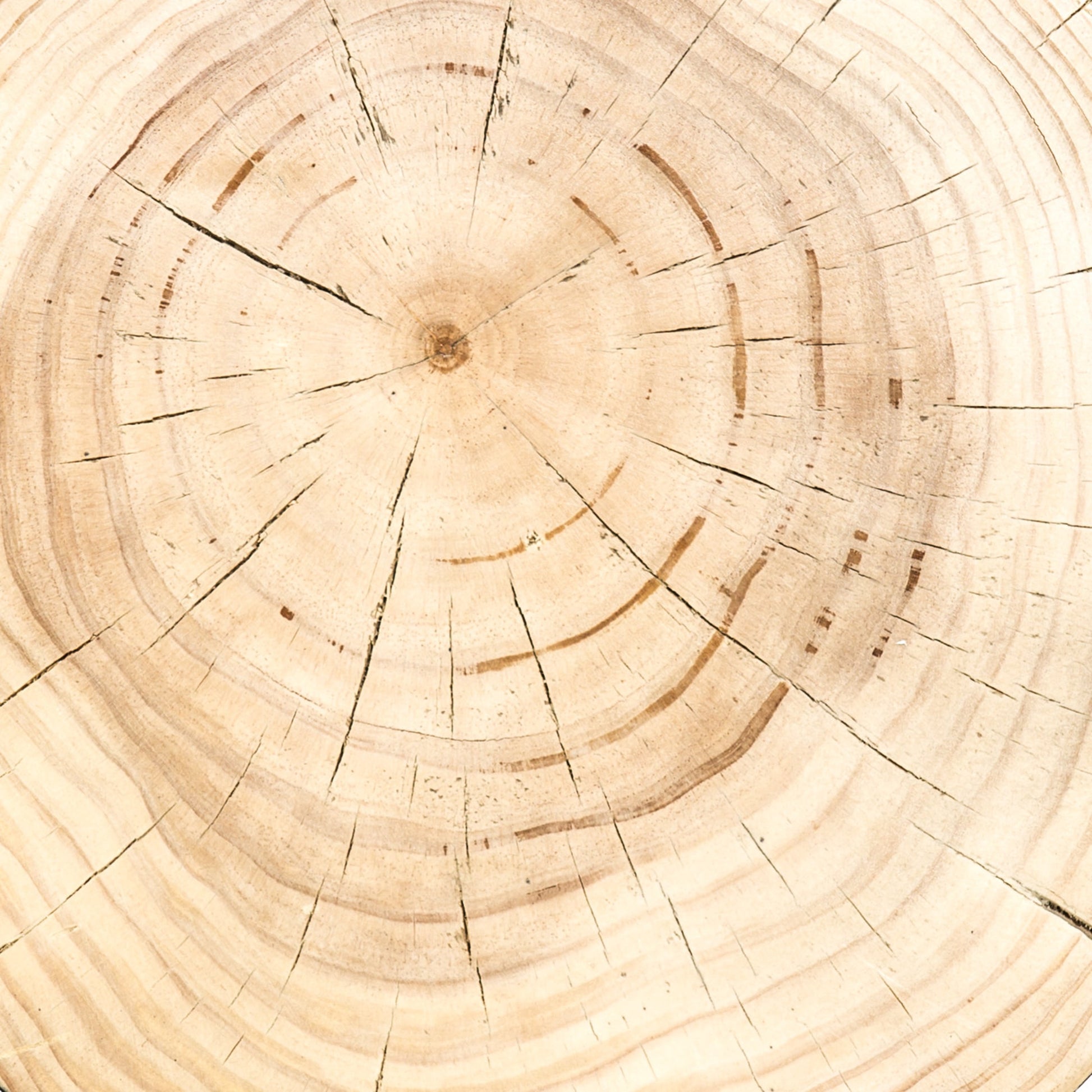 Inez End Table by Four Hands. Made from solid pine in a eclectic & global style.
